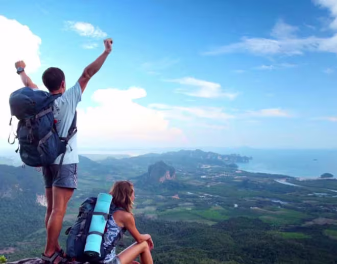 Professional Service